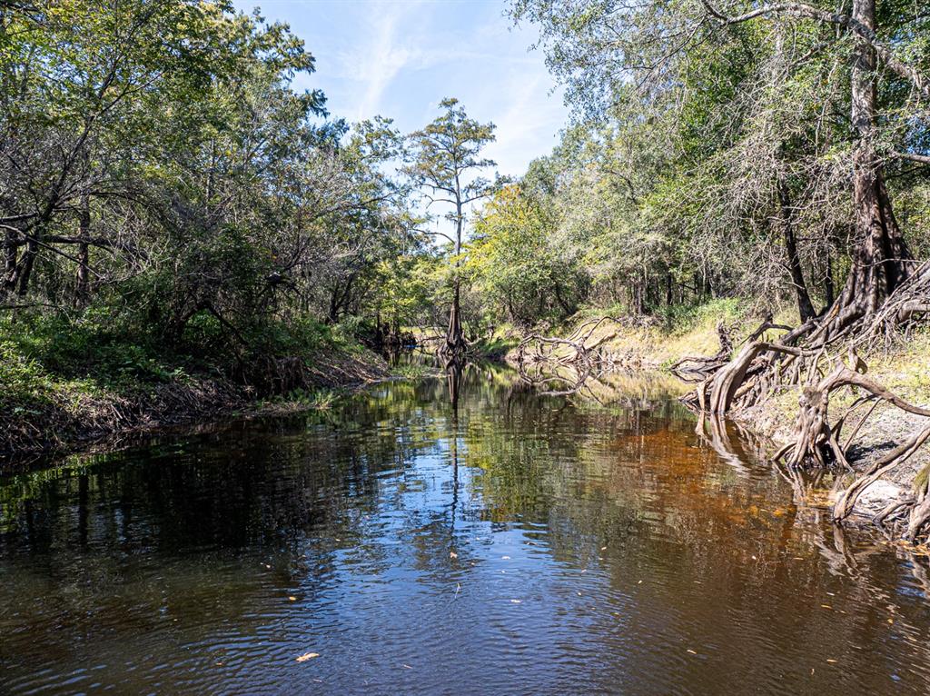 34095 Hyatt Road Dade City, FL 33523 - Photo 17 of 41 a lake view with boat and trees
