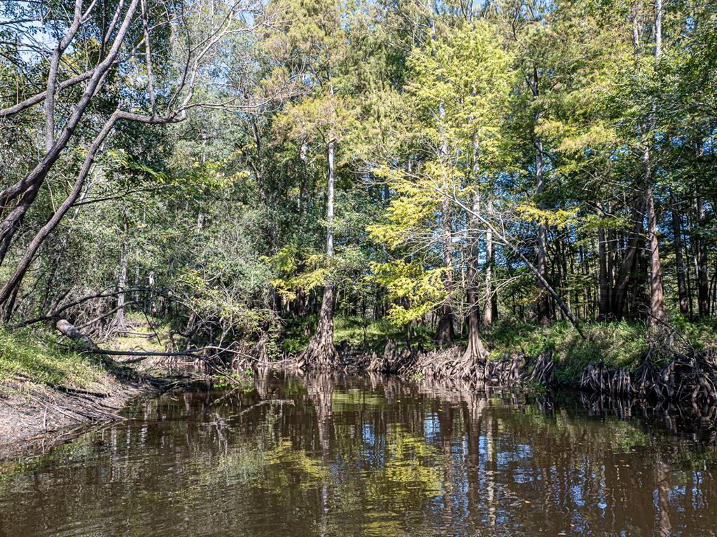 34095 Hyatt Road Dade City, FL 33523 - Photo 18 of 41 a view of a lake with a tree