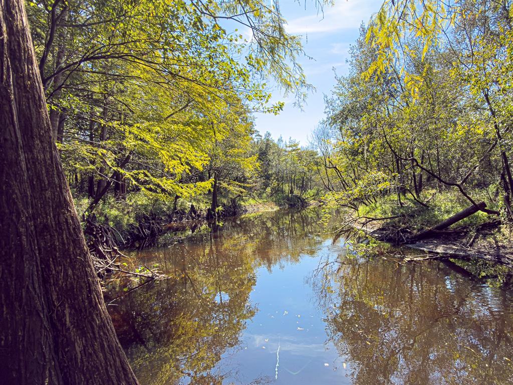 34095 Hyatt Road Dade City, FL 33523 - Photo 19 of 41 a view of lake from a house