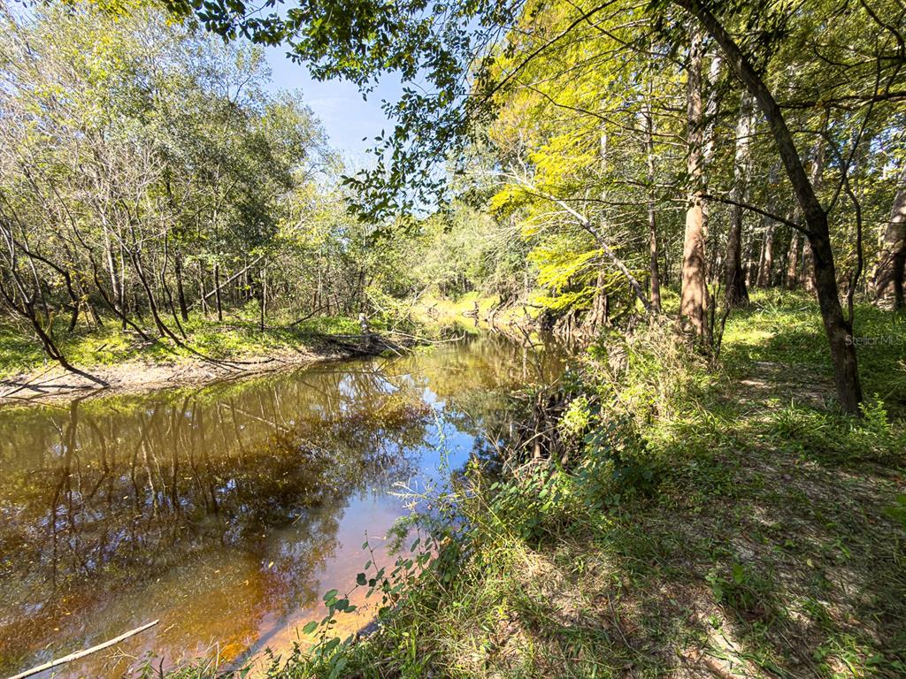 34095 Hyatt Road Dade City, FL 33523 - Photo 20 of 41 a view of a tree