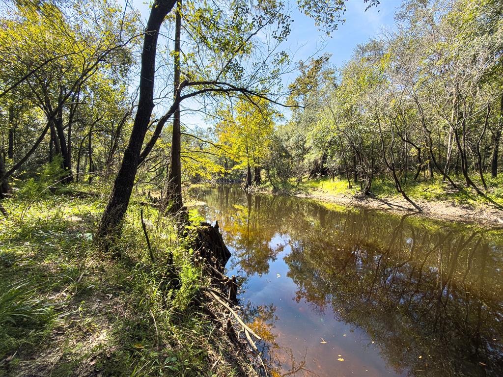 34095 Hyatt Road Dade City, FL 33523 - Photo 21 of 41 a view of a lake