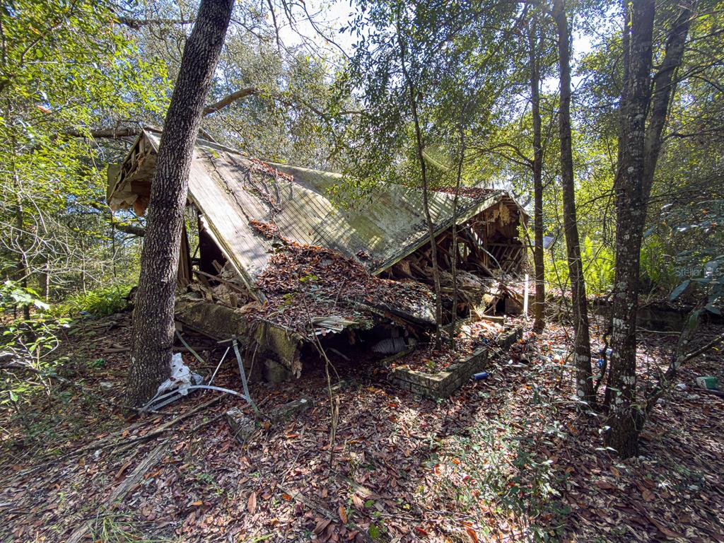 34095 Hyatt Road Dade City, FL 33523 - Photo 25 of 41 a backyard of a house with lots of green space