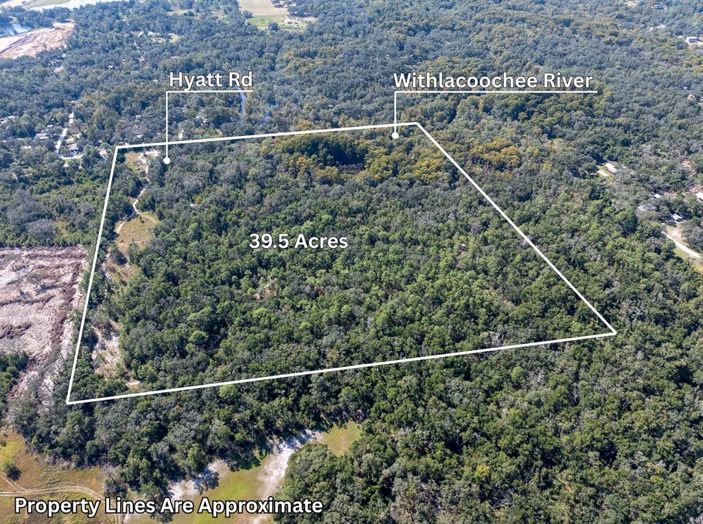 34095 Hyatt Road Dade City, FL 33523 - Photo 4 of 41 a view of a yard from a balcony