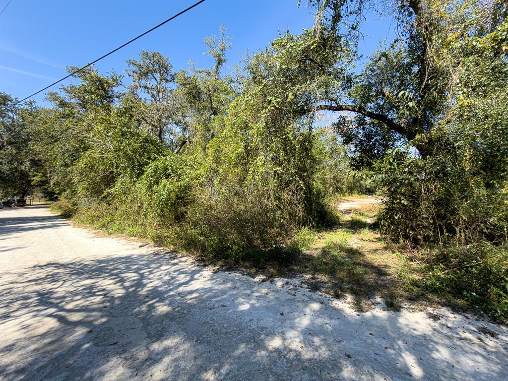 34095 Hyatt Road Dade City, FL 33523 - Photo 5 of 41 a view of a yard with plants and trees