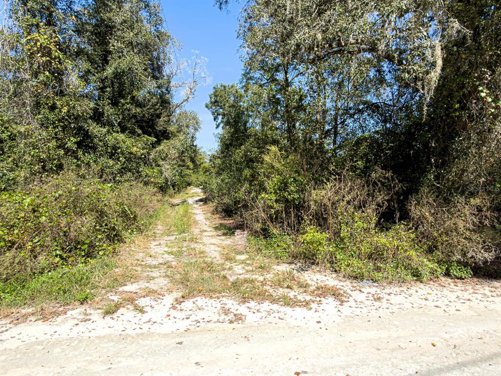 34095 Hyatt Road Dade City, FL 33523 - Photo 6 of 41