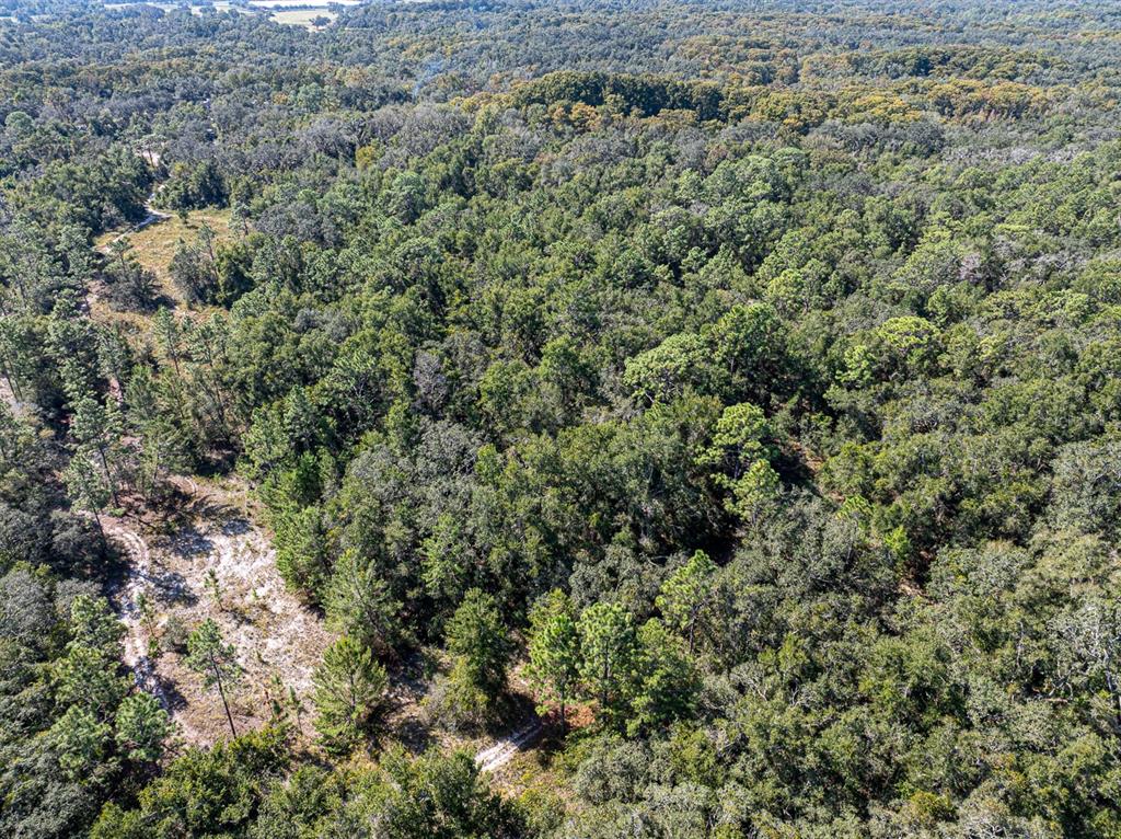 34095 Hyatt Road Dade City, FL 33523 - Photo 8 of 41 an aerial view of residential house with space and trees all around