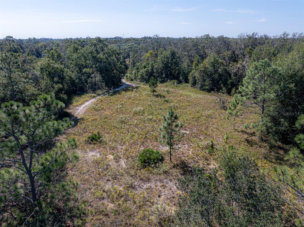 34095 Hyatt Road Dade City, FL 33523 - Photo 9 of 41 a big yard with lots of green space