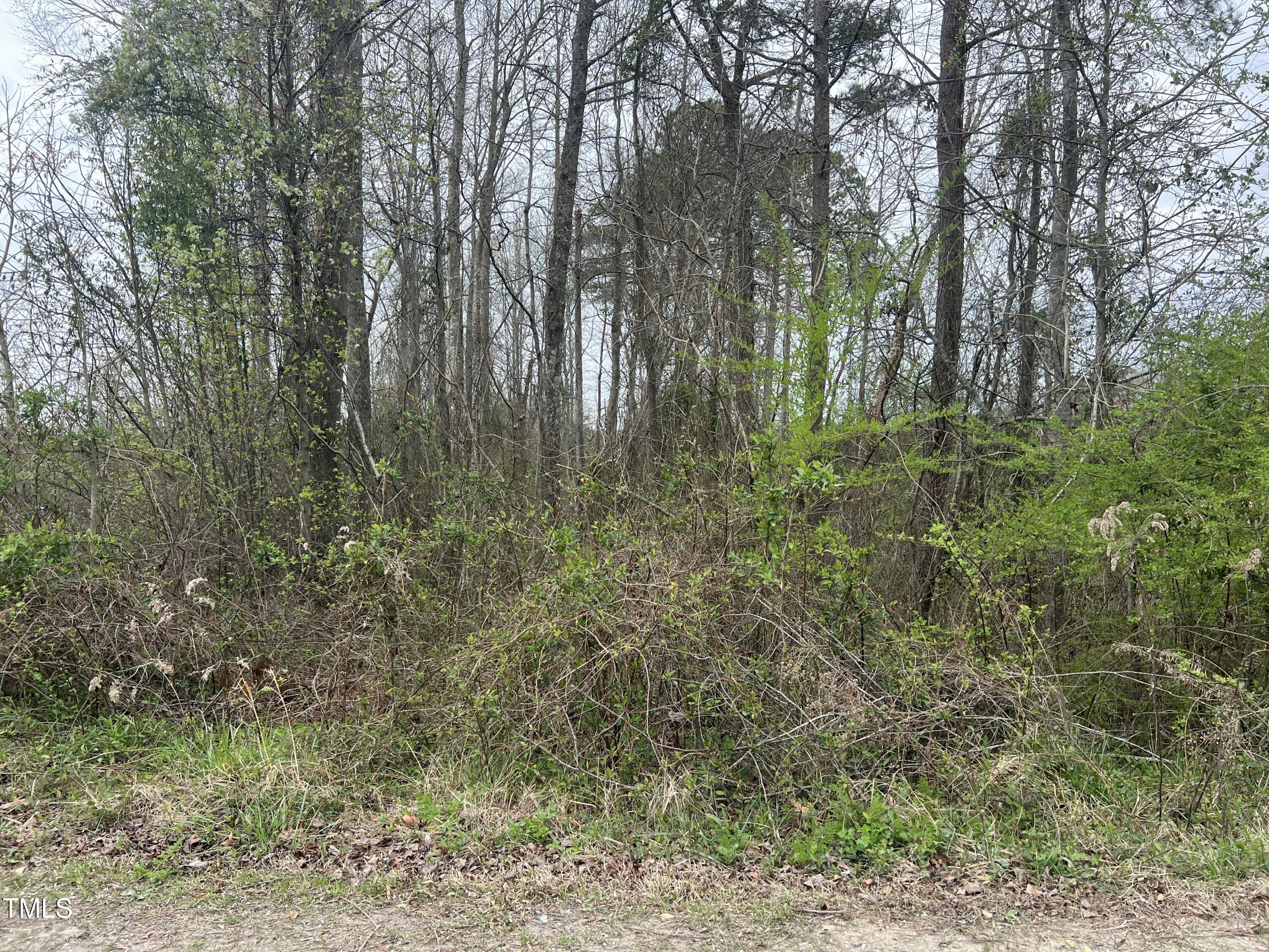 0 Trouble Road Willow Spring, NC 27592 - Photo 4 of 7 0E3DE103-4641-4FDF-8706-55EAE6283BE0