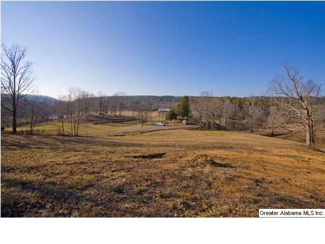 905 Smith Road Oneonta, AL 35121 - Photo 30 of 30
