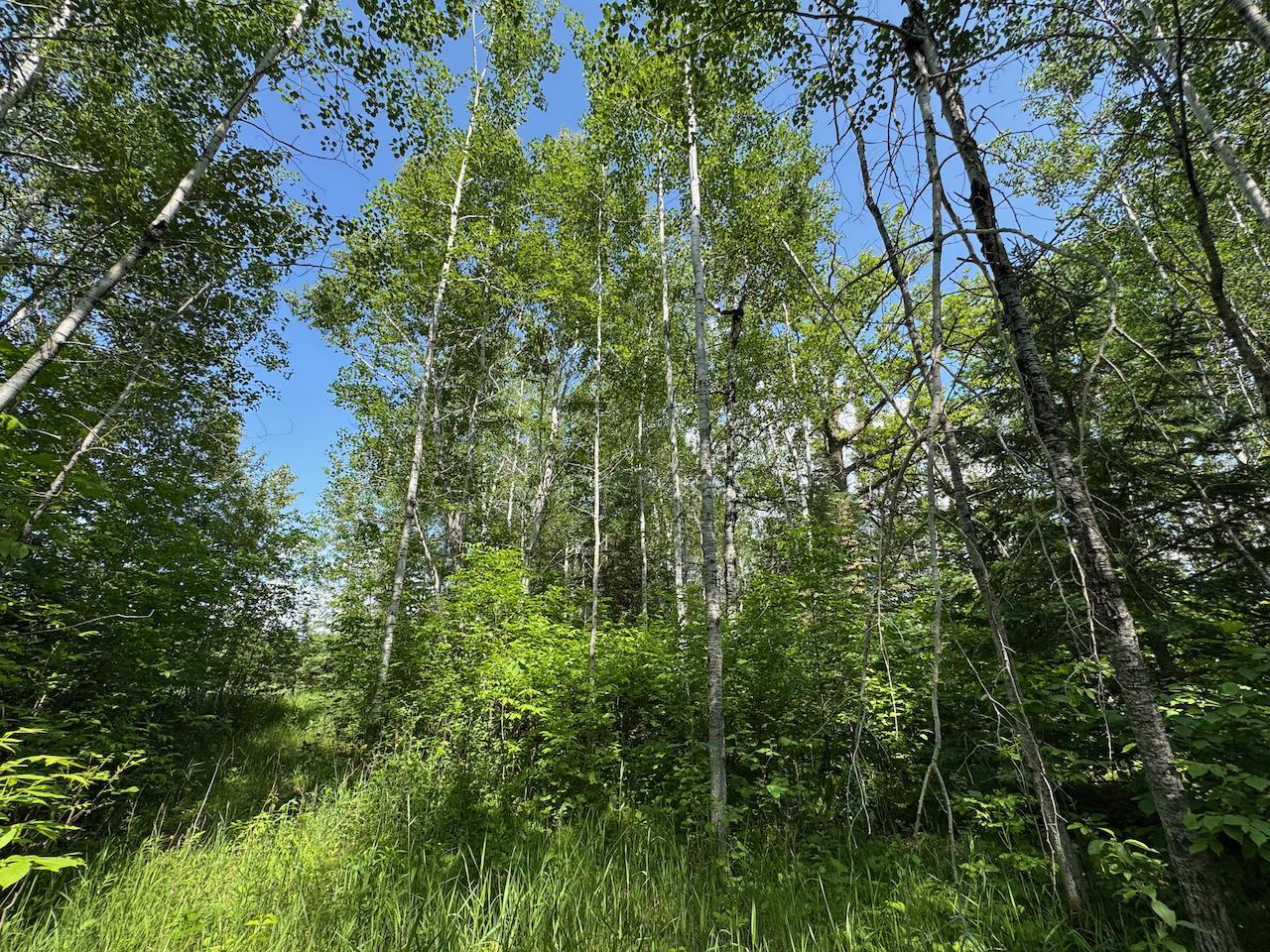 75 A Hines Road Northeast Hines, MN 56647 - Photo 11 of 31