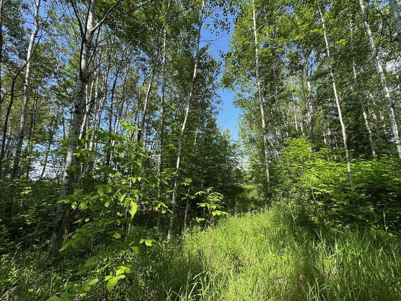 75 A Hines Road Northeast Hines, MN 56647 - Photo 12 of 31