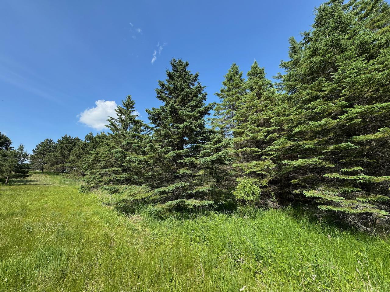 75 A Hines Road Northeast Hines, MN 56647 - Photo 15 of 31