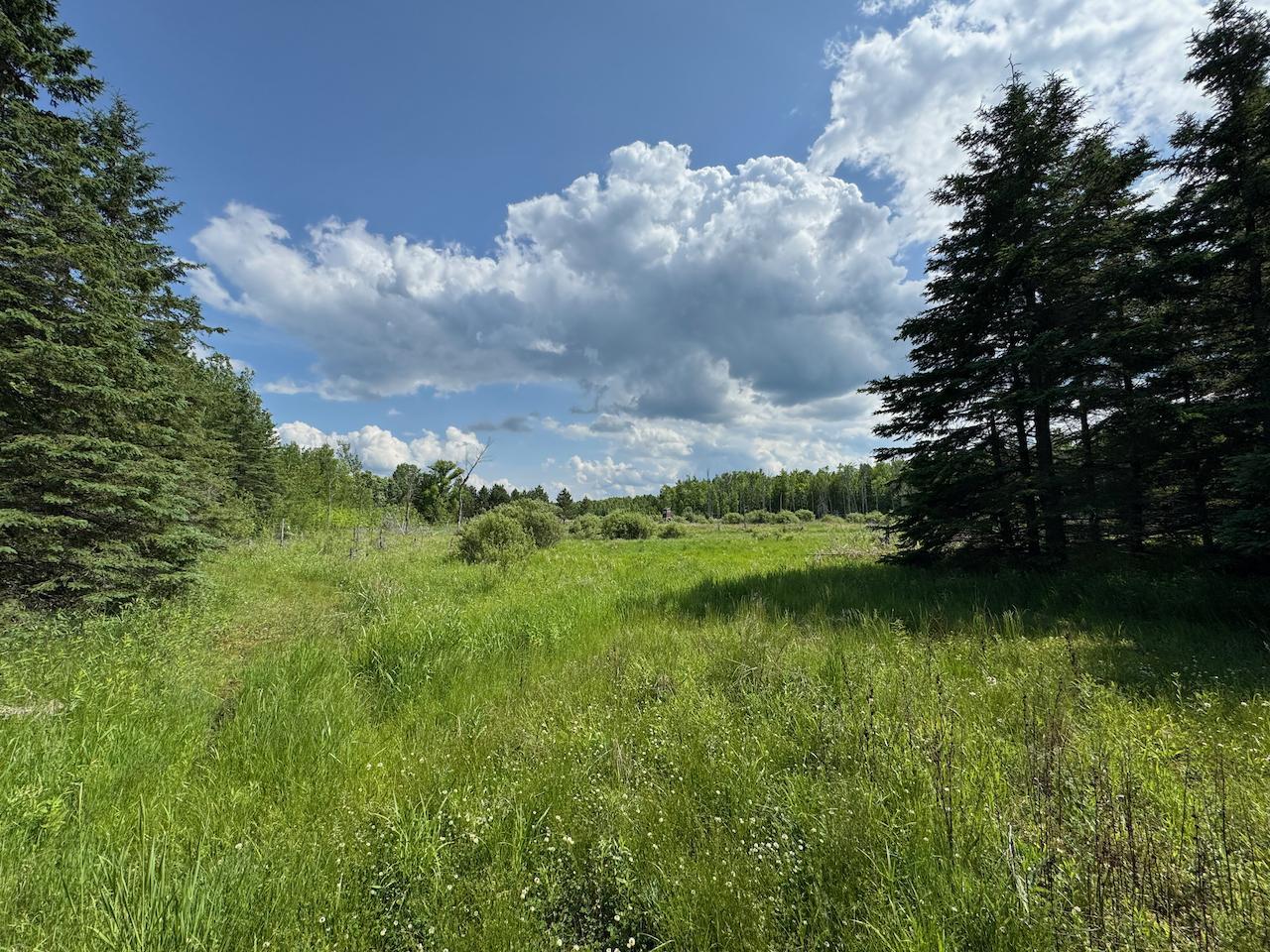 75 A Hines Road Northeast Hines, MN 56647 - Photo 19 of 31