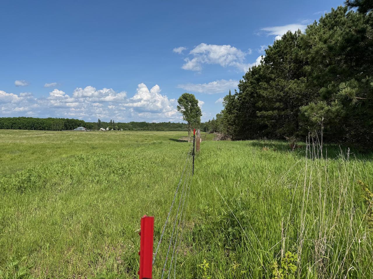 75 A Hines Road Northeast Hines, MN 56647 - Photo 20 of 31