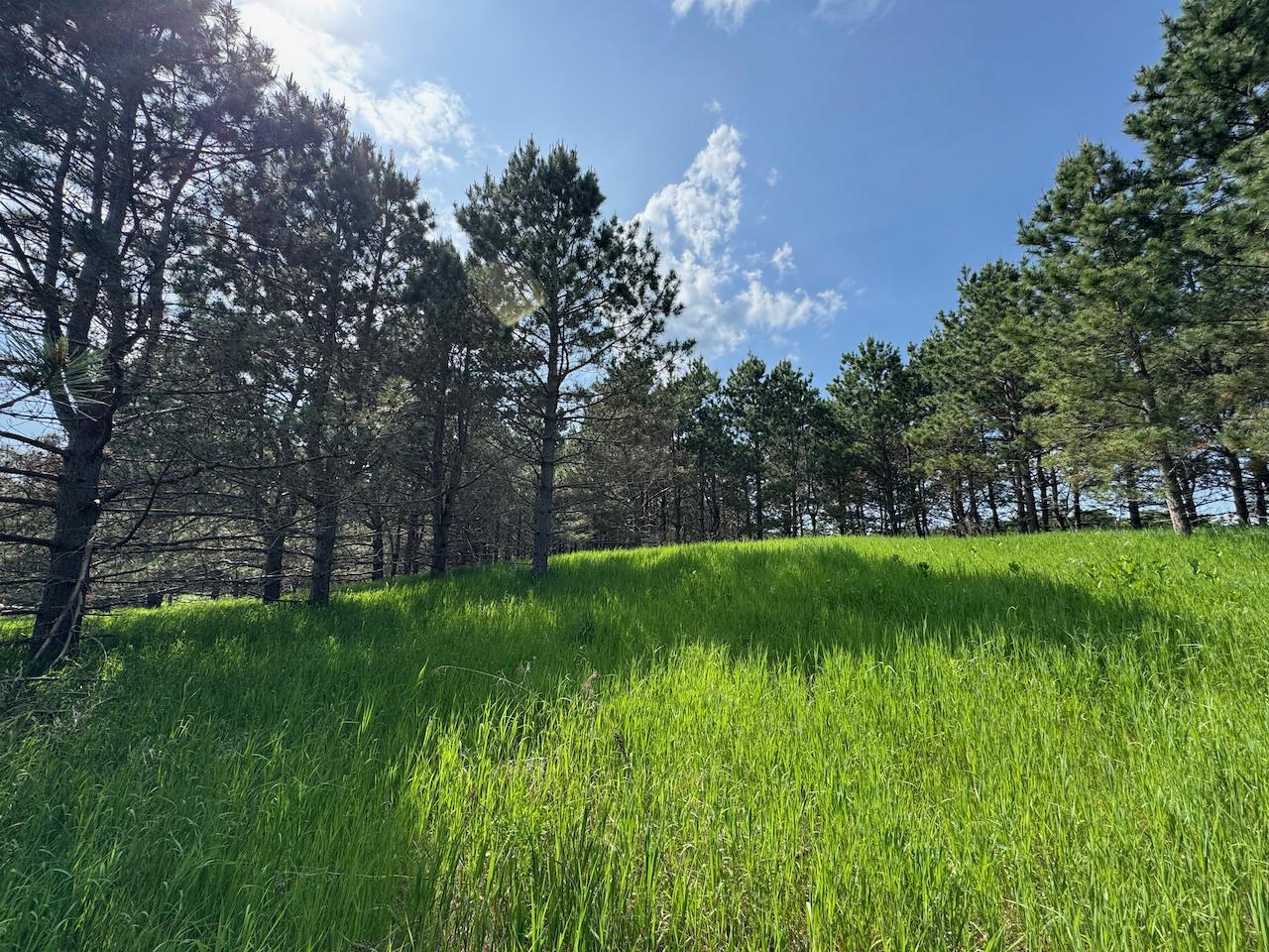 75 A Hines Road Northeast Hines, MN 56647 - Photo 2 of 31