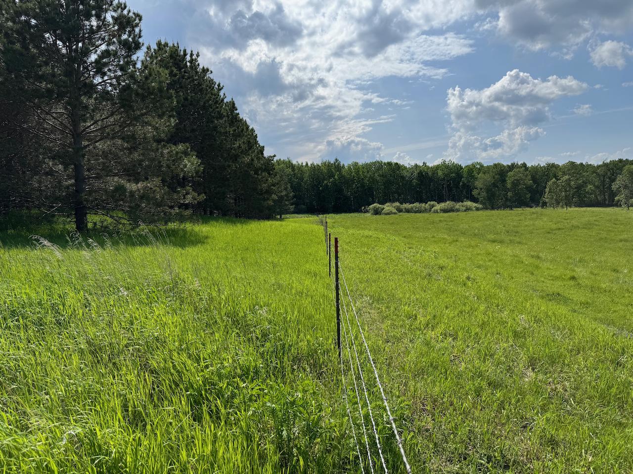75 A Hines Road Northeast Hines, MN 56647 - Photo 21 of 31