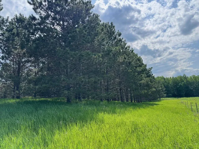 $174,900 | 75 A Hines Road Northeast, Hines, MN 56647