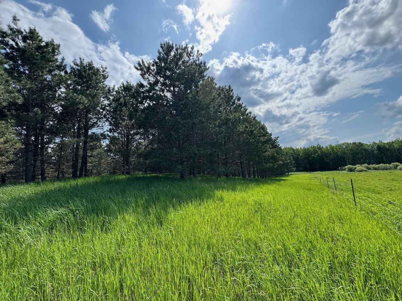 75 A Hines Road Northeast Hines, MN 56647 - Photo 23 of 31