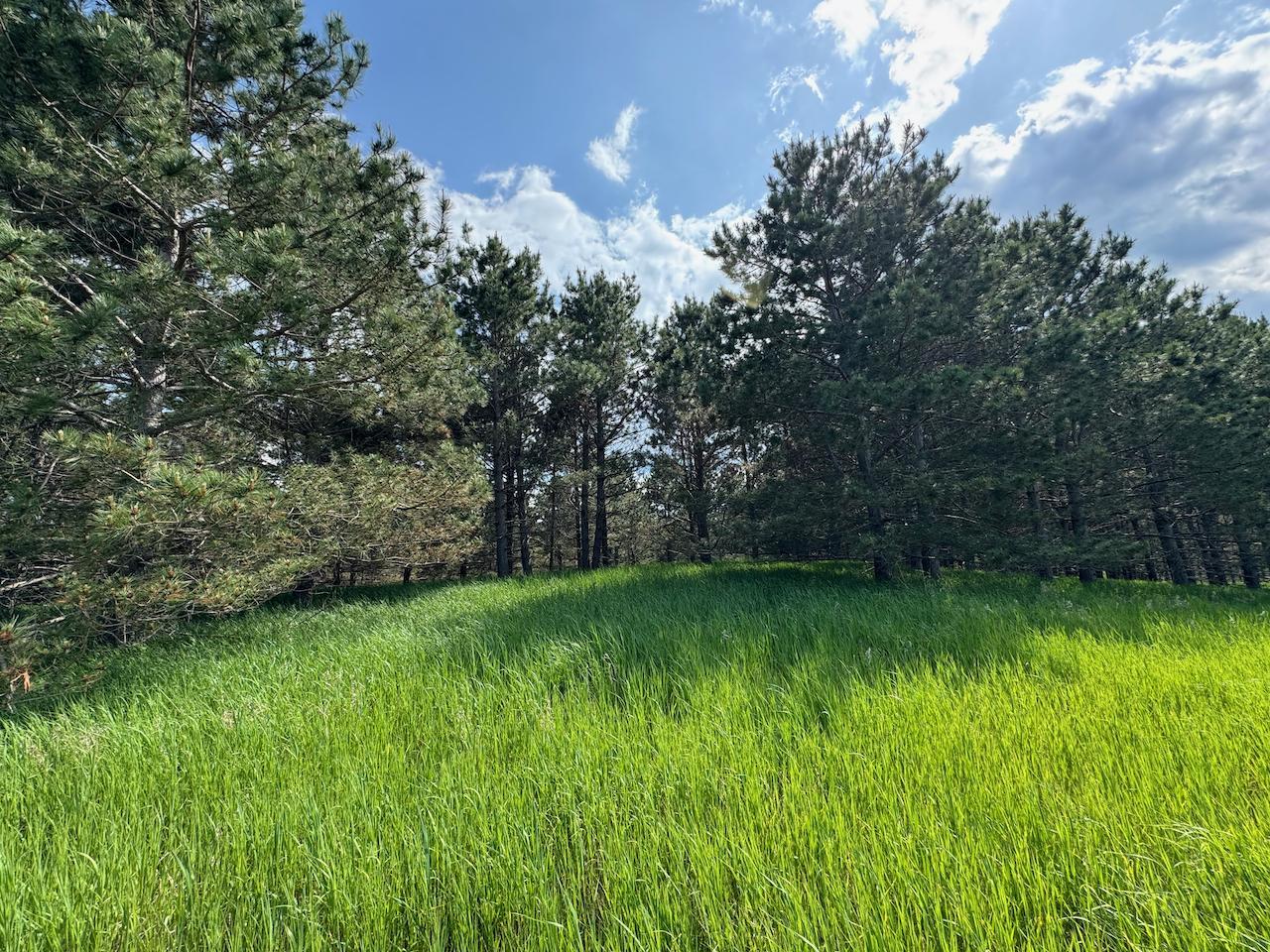 75 A Hines Road Northeast Hines, MN 56647 - Photo 24 of 31