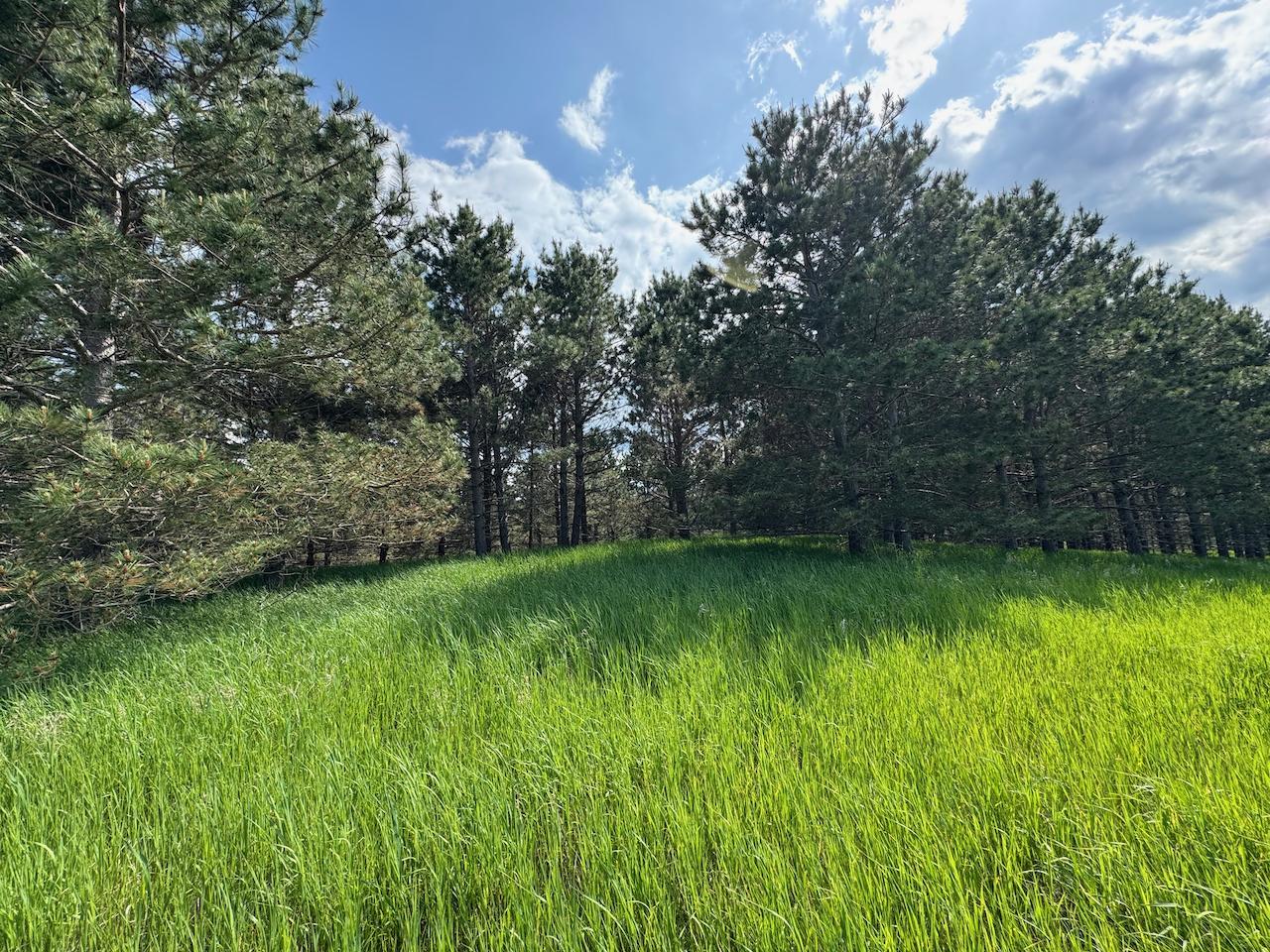 75 A Hines Road Northeast Hines, MN 56647 - Photo 25 of 31