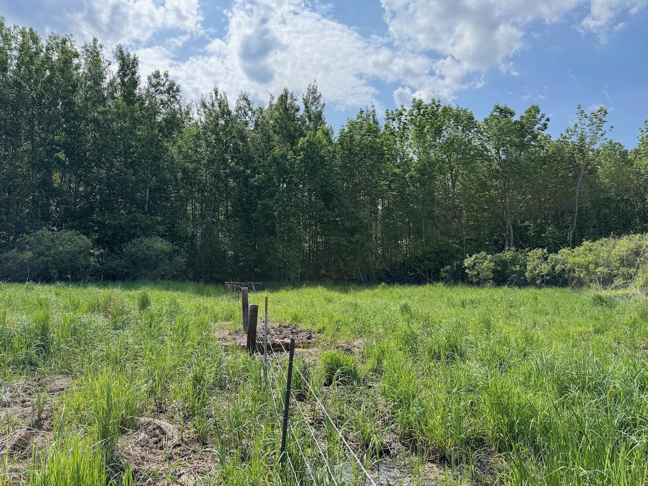 75 A Hines Road Northeast Hines, MN 56647 - Photo 26 of 31