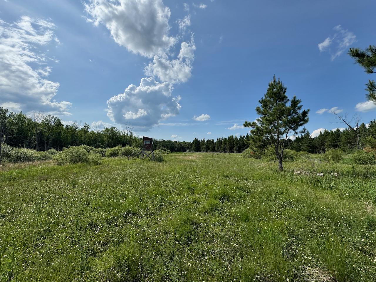 75 A Hines Road Northeast Hines, MN 56647 - Photo 29 of 31