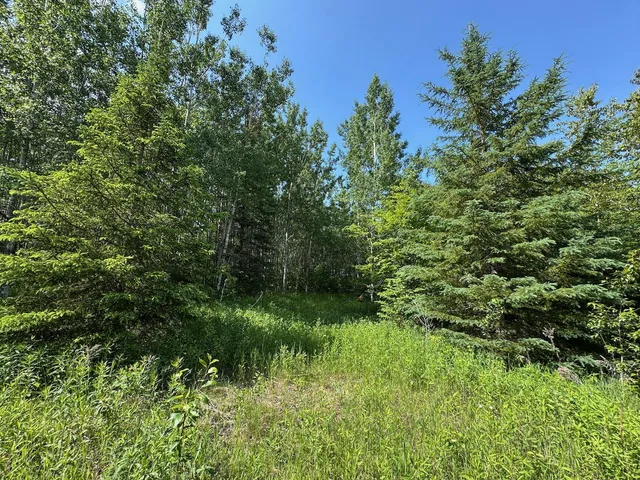 $174,900 | 75 A Hines Road Northeast, Hines, MN 56647