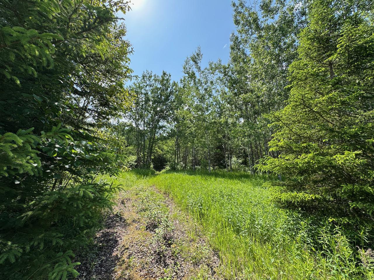 75 A Hines Road Northeast Hines, MN 56647 - Photo 6 of 31