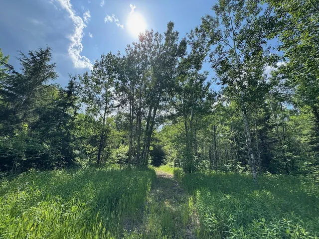 $174,900 | 75 A Hines Road Northeast, Hines, MN 56647