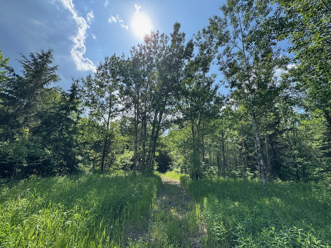 75 A Hines Road Northeast Hines, MN 56647 - Photo 8 of 31