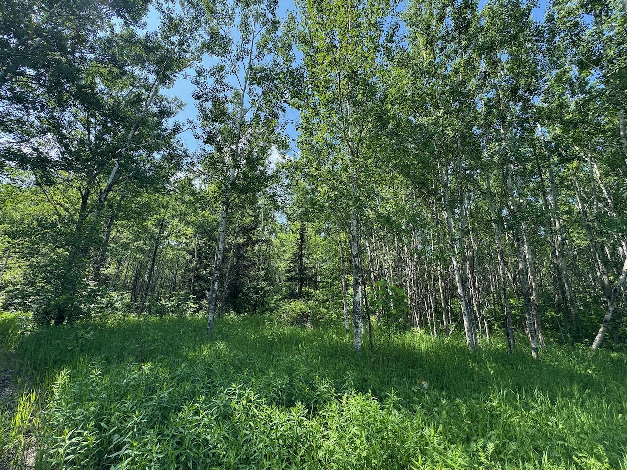 75 A Hines Road Northeast Hines, MN 56647 - Photo 9 of 31