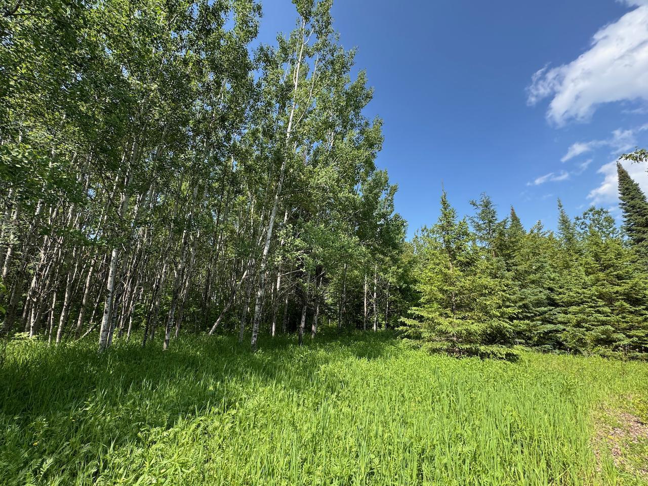 75 A Hines Road Northeast Hines, MN 56647 - Photo 10 of 31