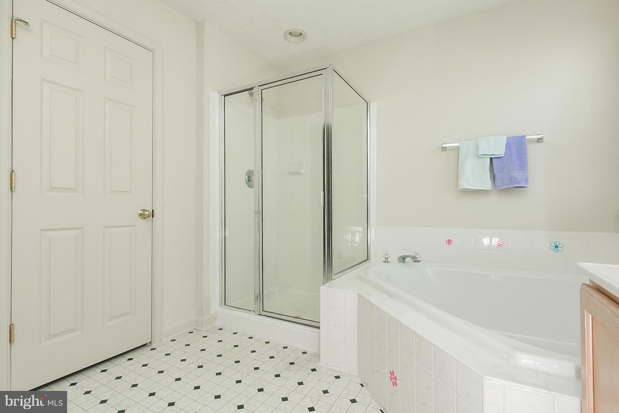 221 Spry Island Road Joppa, MD 21085 - Photo 22 of 30 Bath (Master)