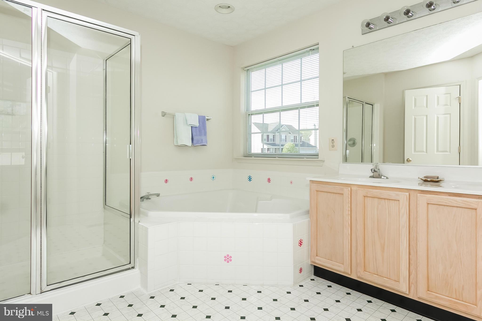 221 Spry Island Road Joppa, MD 21085 - Photo 23 of 30 Bath (Master)