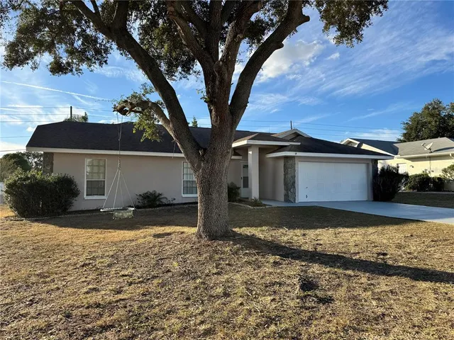 a view of a yard with a large tree