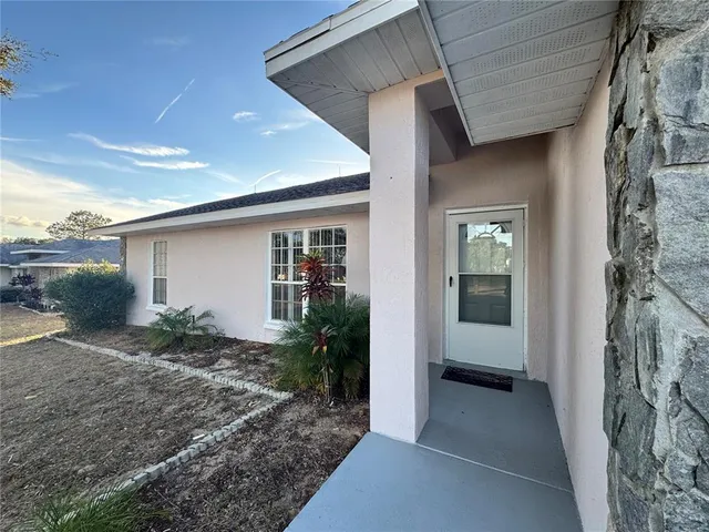 a potted plant in front of a house
