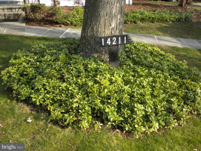 14211 Chesterfield Road Rockville, MD 20853 - Photo 22 of 28 Unique #2