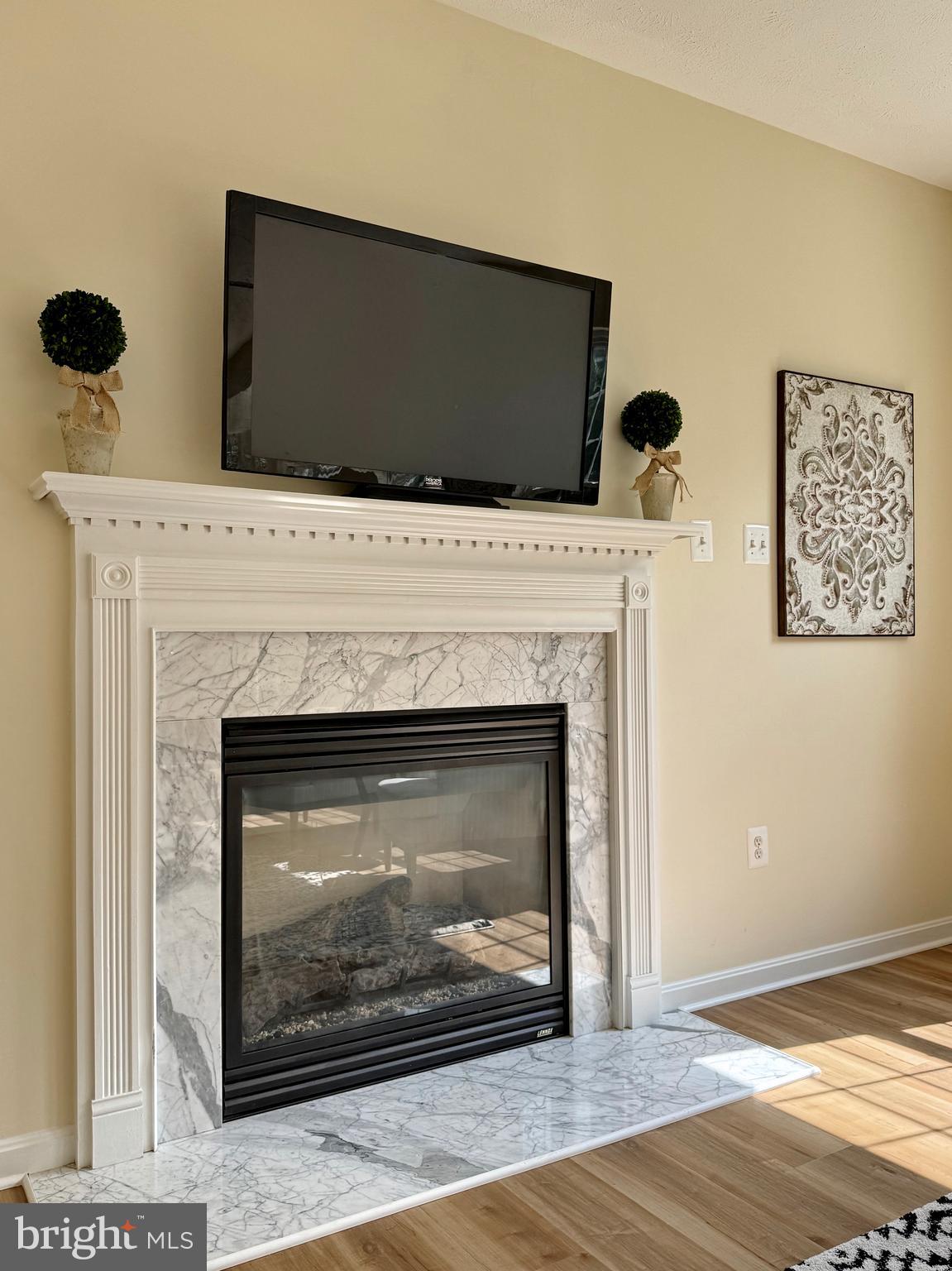 10020 Trinity Church Road Charlotte Hall, MD 20622 - Photo 34 of 99 Gas Fireplace