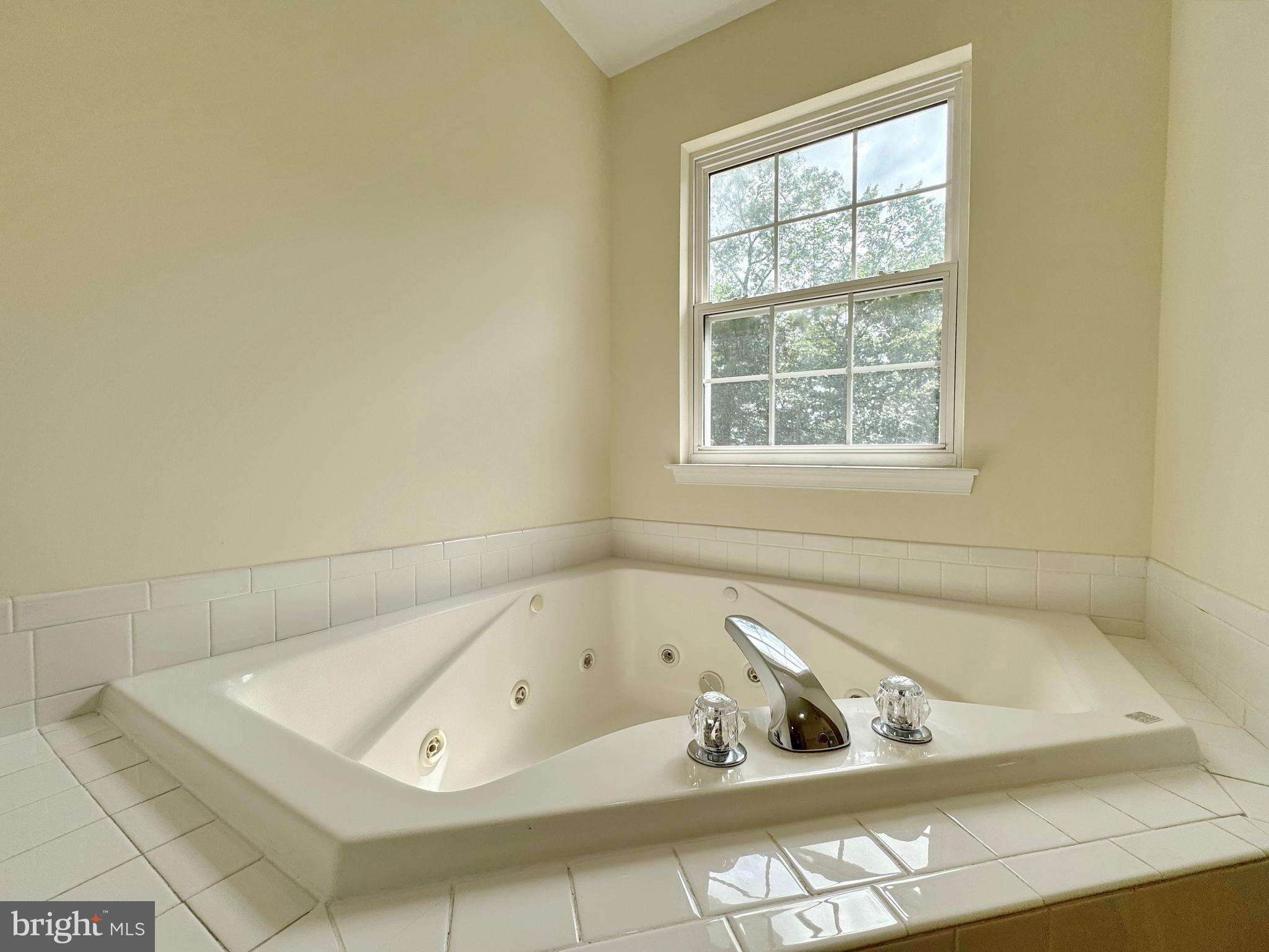 10020 Trinity Church Road Charlotte Hall, MD 20622 - Photo 50 of 99 Jetted tub in primary bath