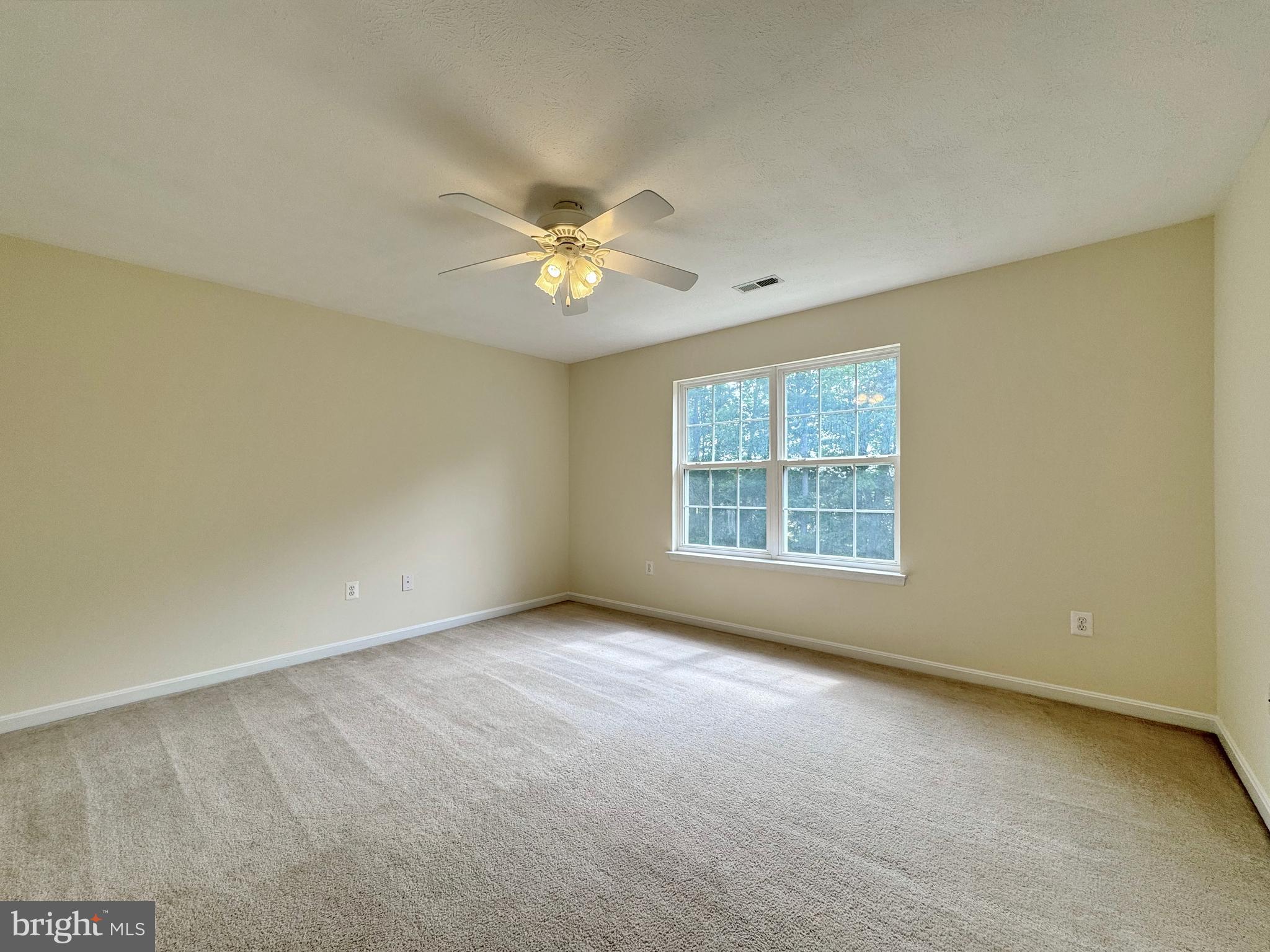 10020 Trinity Church Road Charlotte Hall, MD 20622 - Photo 61 of 99 Spacious Bedrooms