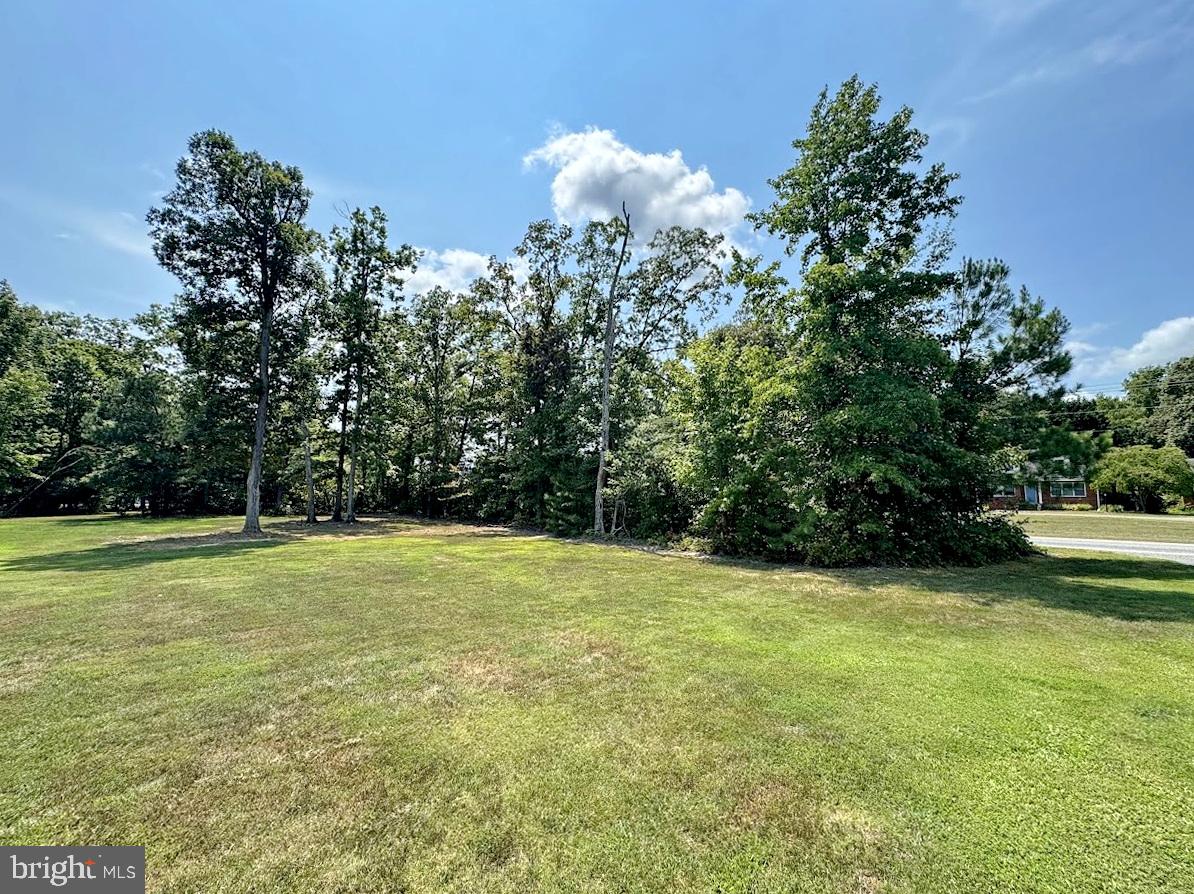 10020 Trinity Church Road Charlotte Hall, MD 20622 - Photo 93 of 99 Gallery Image 93