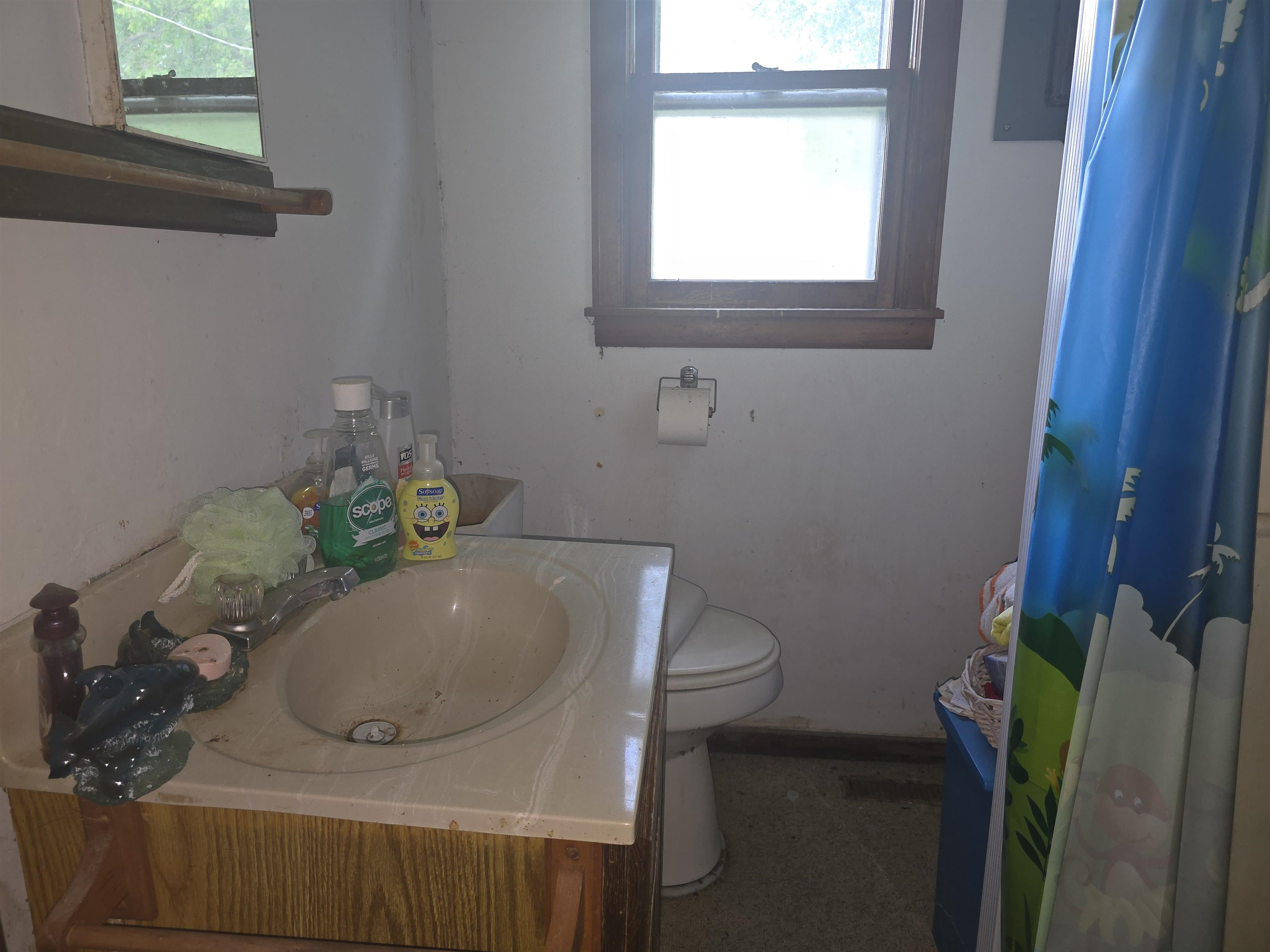 1661 Riverside Drive Pontoosuc, IL 62330 - Photo 9 of 15