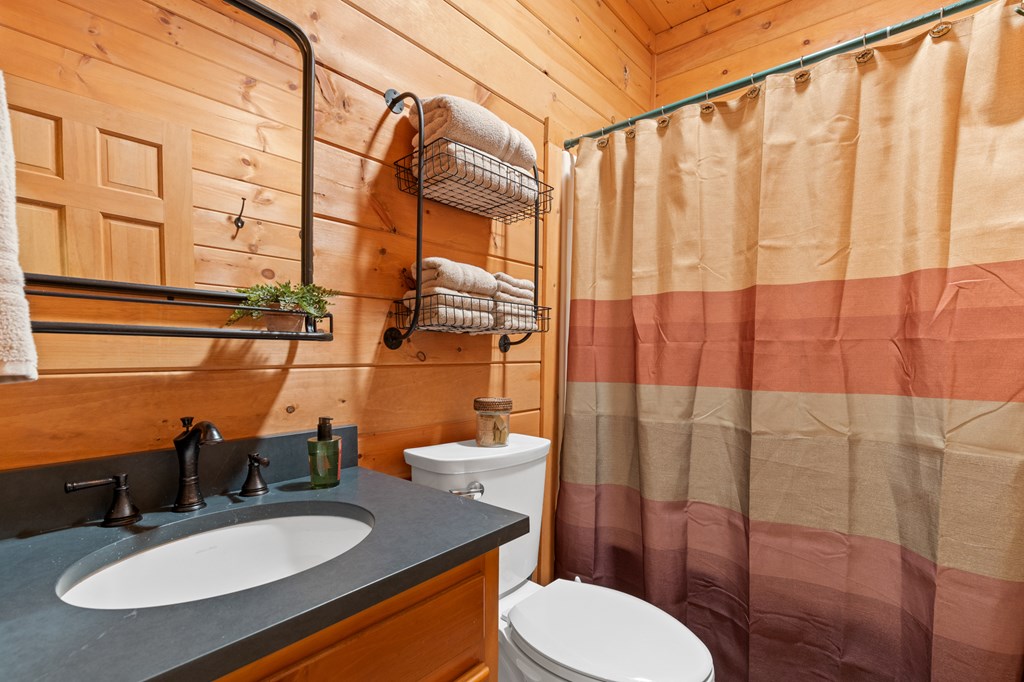 20 Broken Arrow Path Blue Ridge, GA 30513 - Photo 45 of 58 a bathroom with a sink toilet and shower