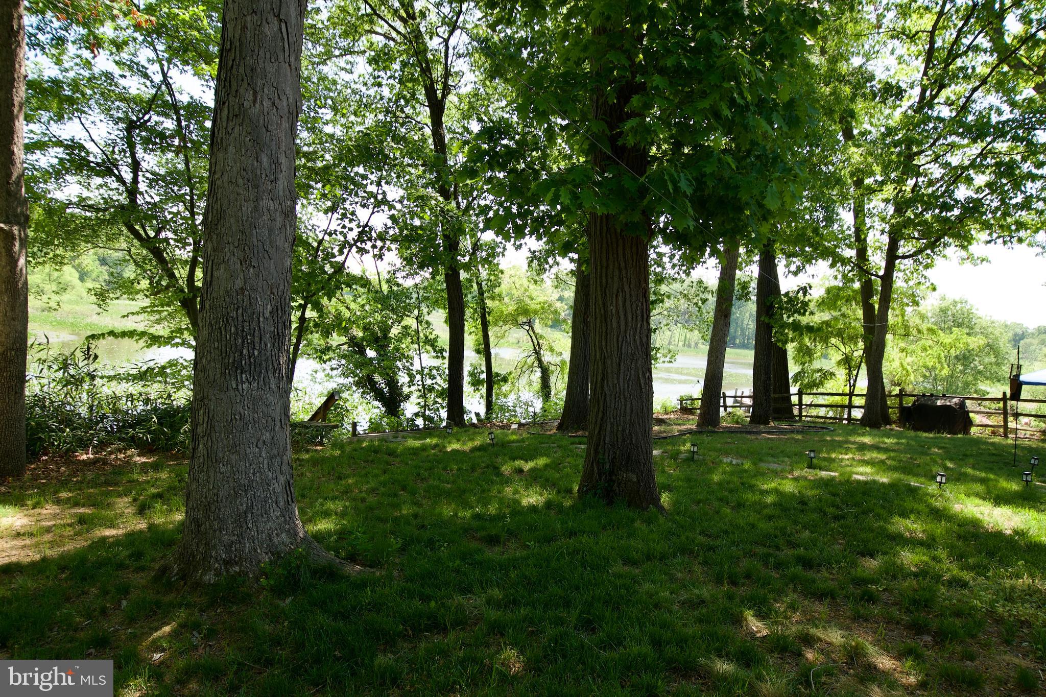 8314 Wagon Wheel Road Alexandria, VA 22309 - Photo 35 of 42 Back yard