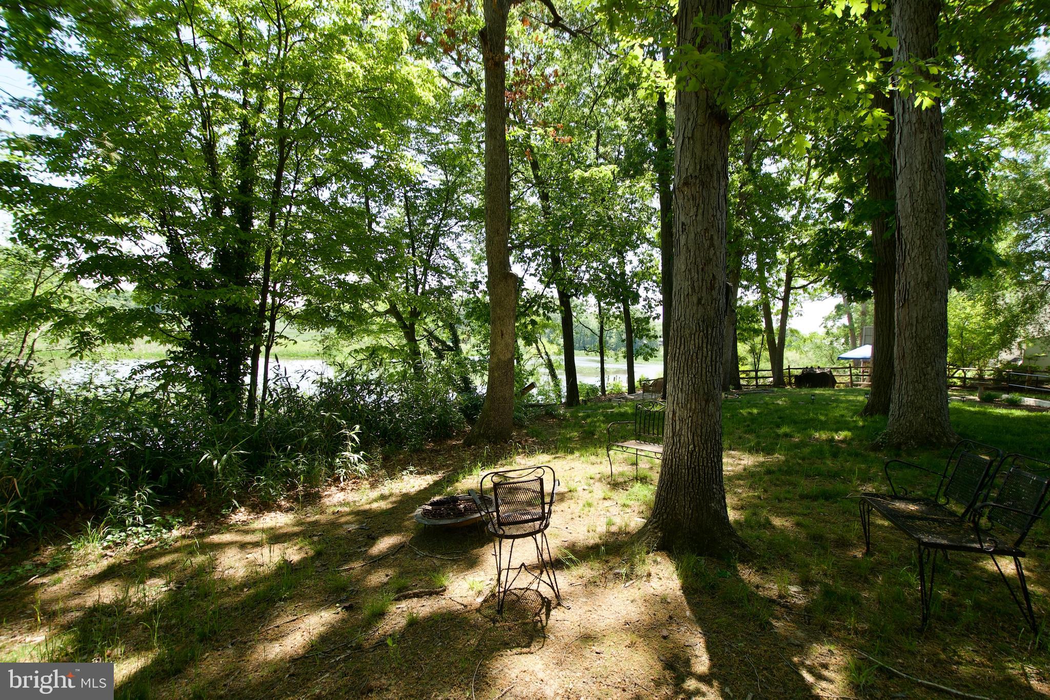 8314 Wagon Wheel Road Alexandria, VA 22309 - Photo 36 of 42 Back yard