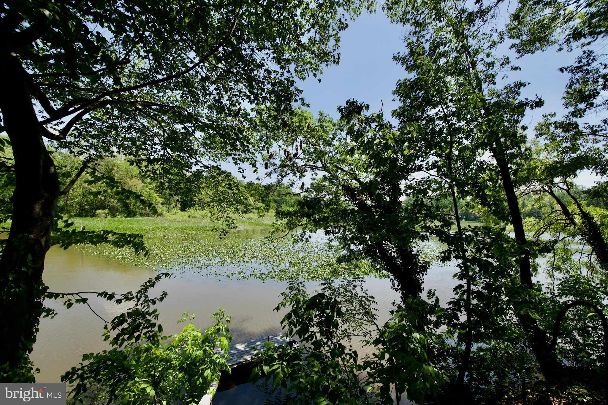 8314 Wagon Wheel Road Alexandria, VA 22309 - Photo 39 of 42 Water view