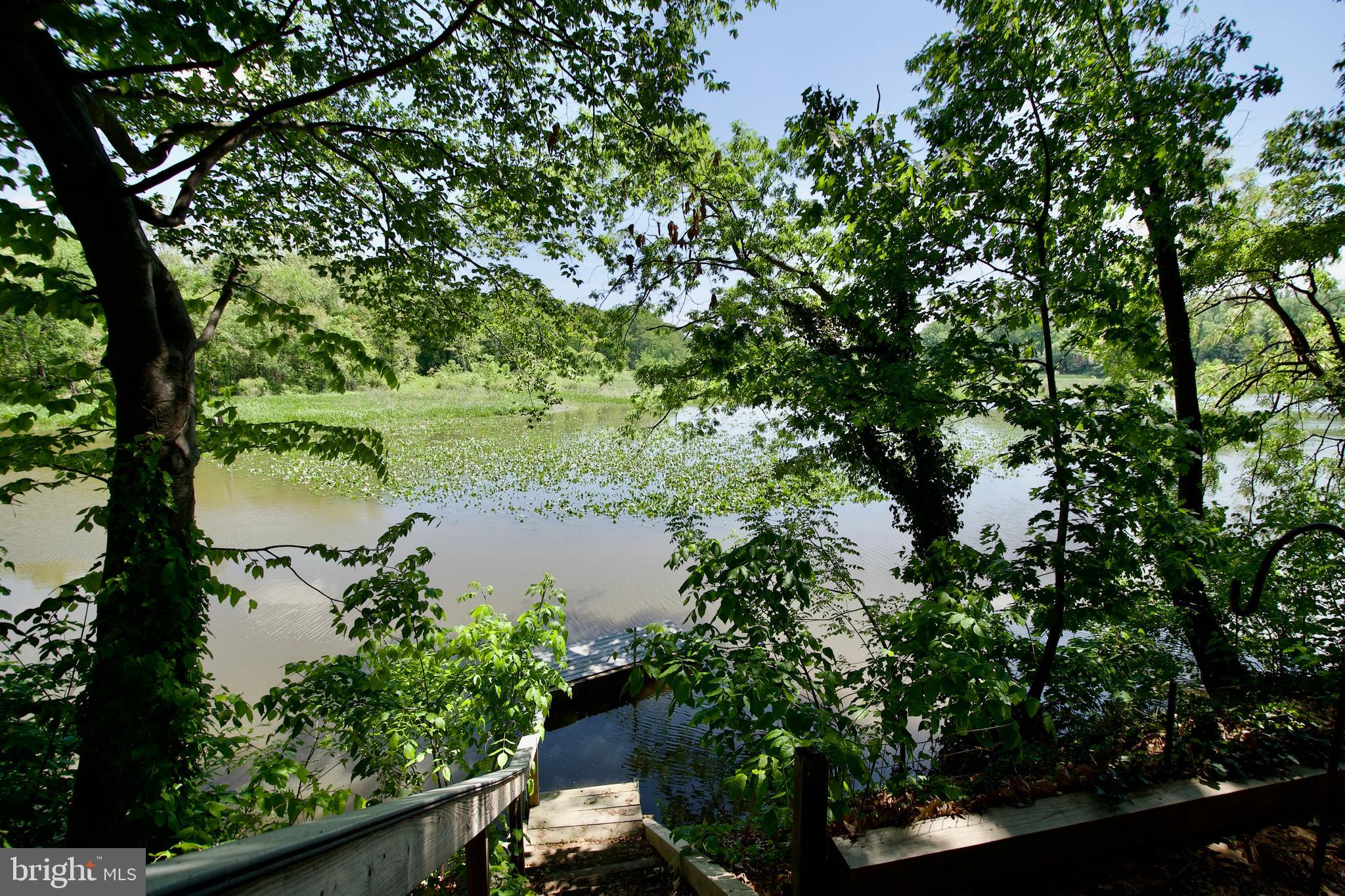 8314 Wagon Wheel Road Alexandria, VA 22309 - Photo 40 of 42 Water view