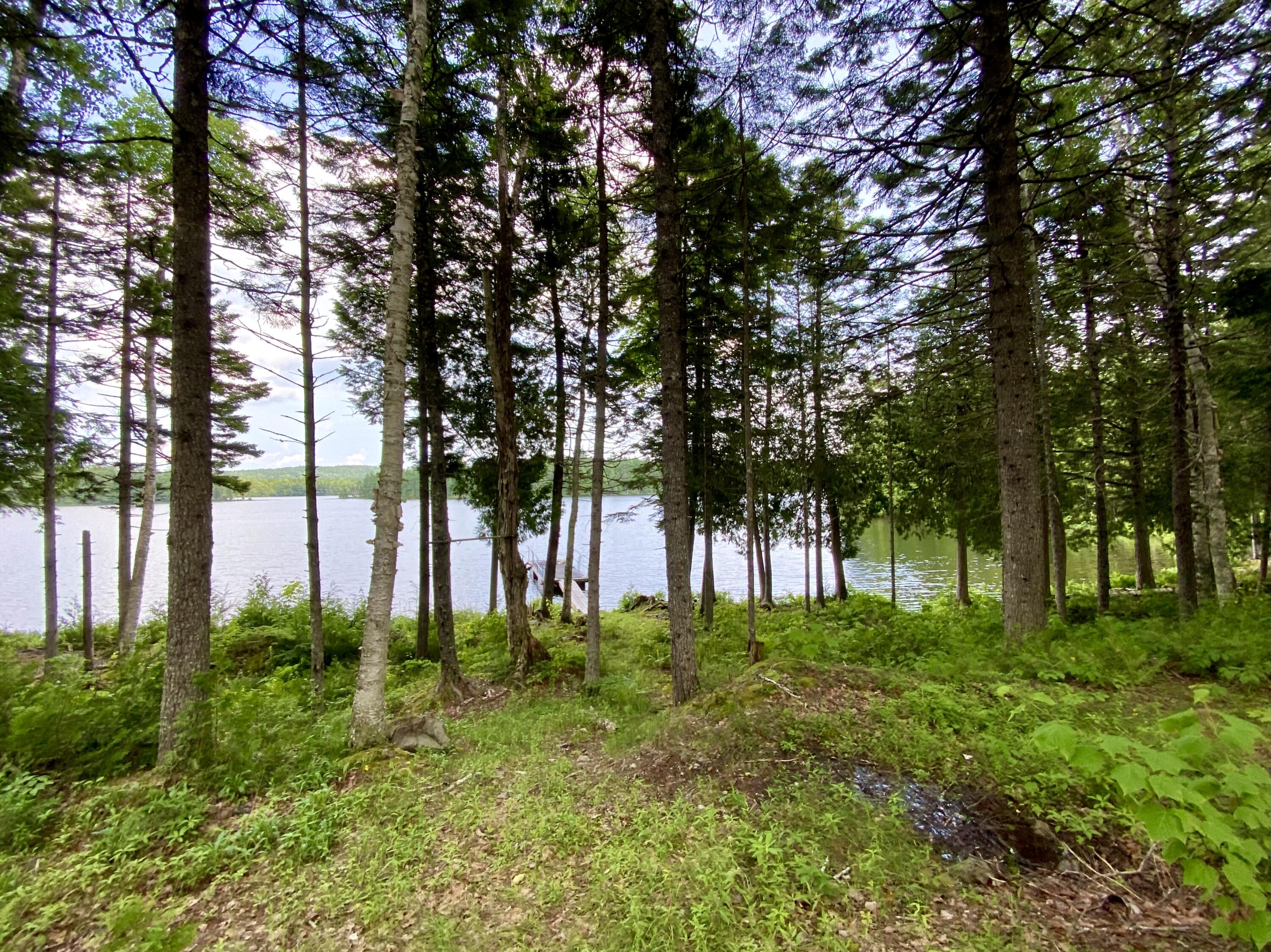 119 North Burwash Road Wesley, ME 04686 - Photo 15 of 60 IMG_6737