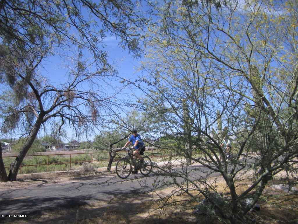 321 East Calderwood Road Tucson, AZ 85704 - Photo 26 of 31
