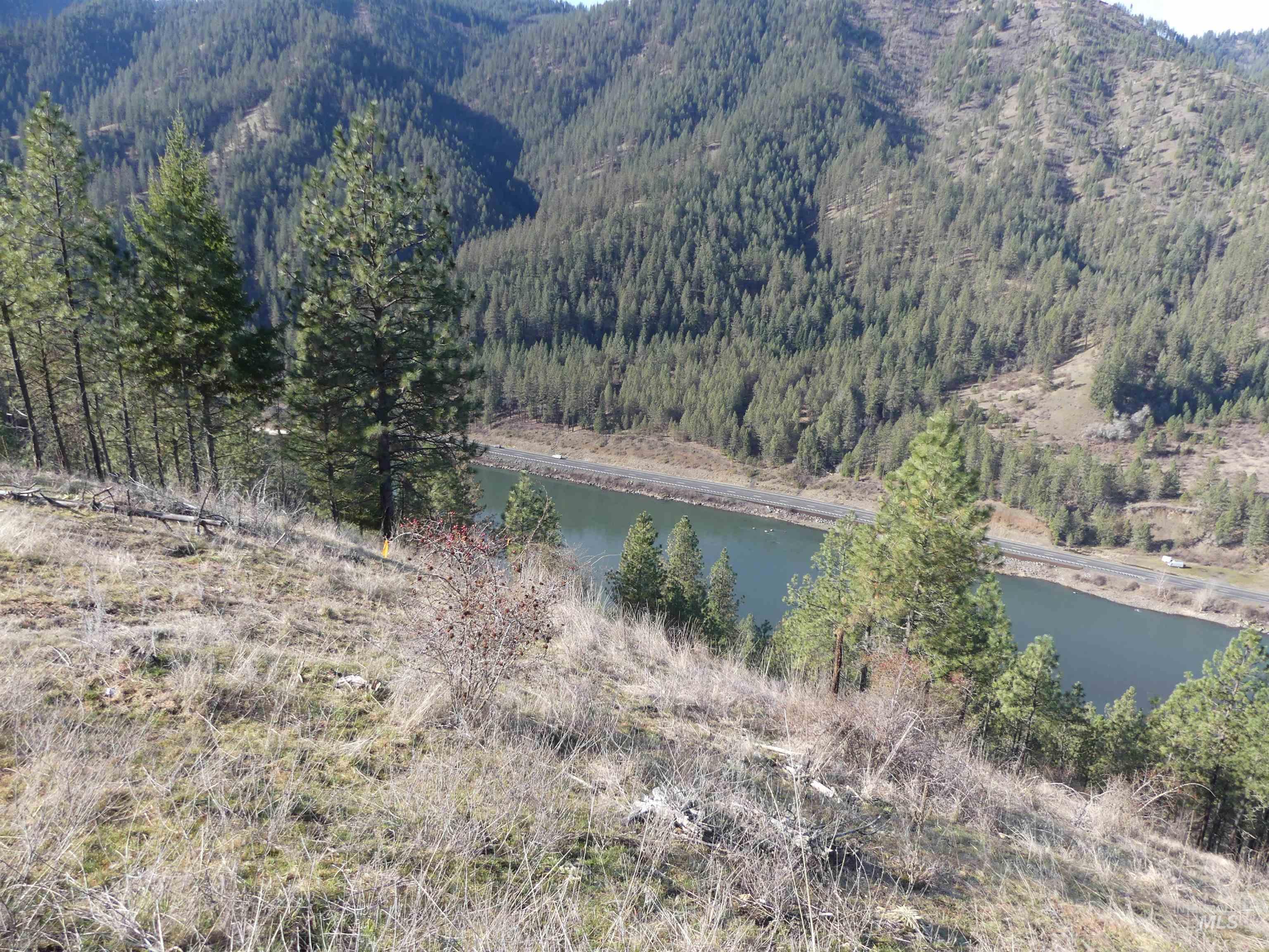1404 Carrot Ridge Road Kamiah, ID 83536 - Photo 16 of 31